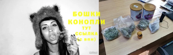 jwh Белокуриха