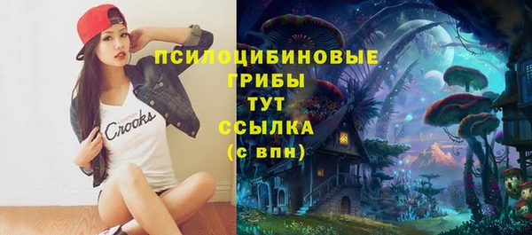 мдпв Балабаново