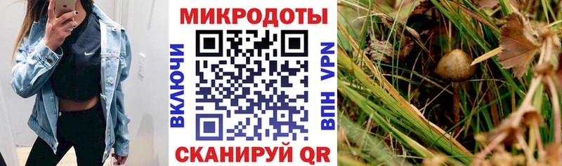 Галлюциногенные грибы Cubensis  купить наркотик  Называевск 